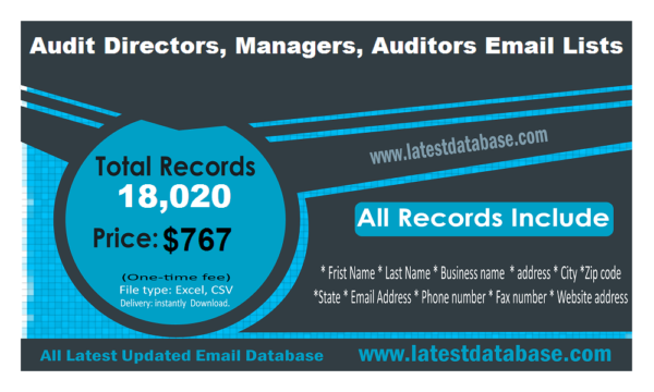 Audit Directors, Managers, Auditors Email Campaign Datas